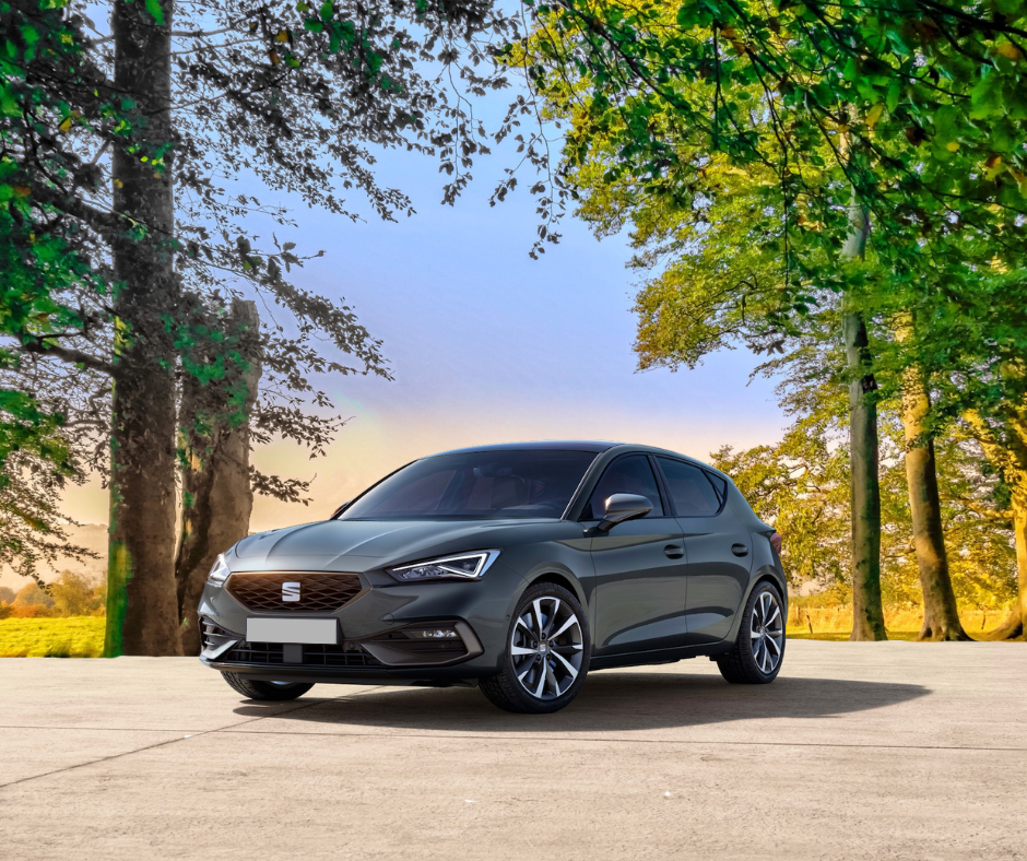 Ein grauer Seat Leon steht auf einer freien Fläche, umgeben von hohen Bäumen mit grünem und herbstlich gefärbtem Laub, während im Hintergrund ein klarer Himmel im sanften Farbverlauf von Blau zu Orange zu sehen ist.